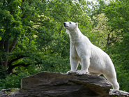 Tierpark Berlin