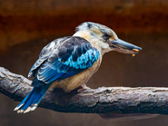 Zoo Berlin